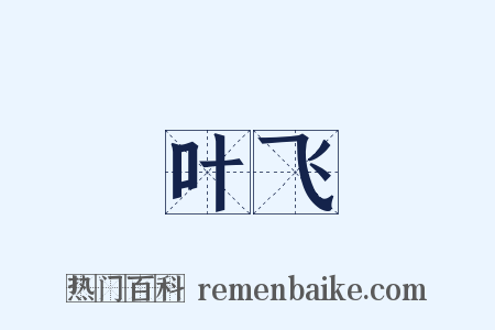 叶飞是什么意思的图片